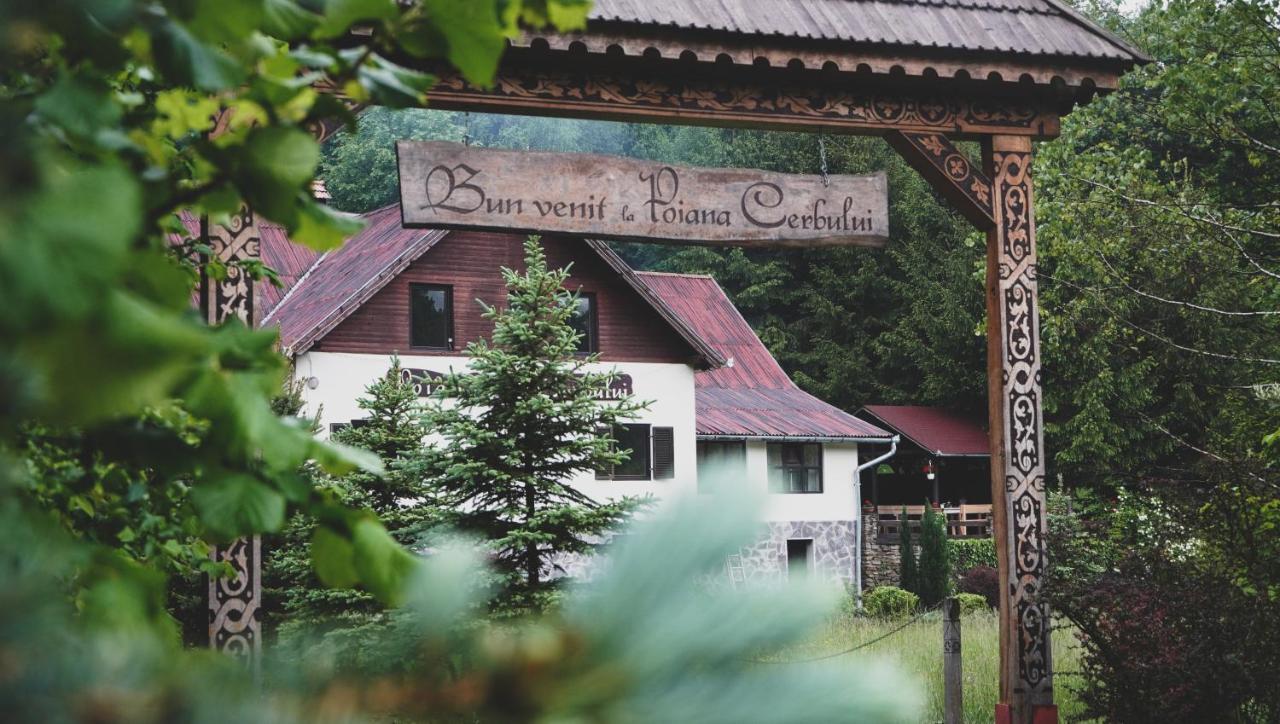 Pensiunea Poiana Cerbului Sighisoara Exterior photo