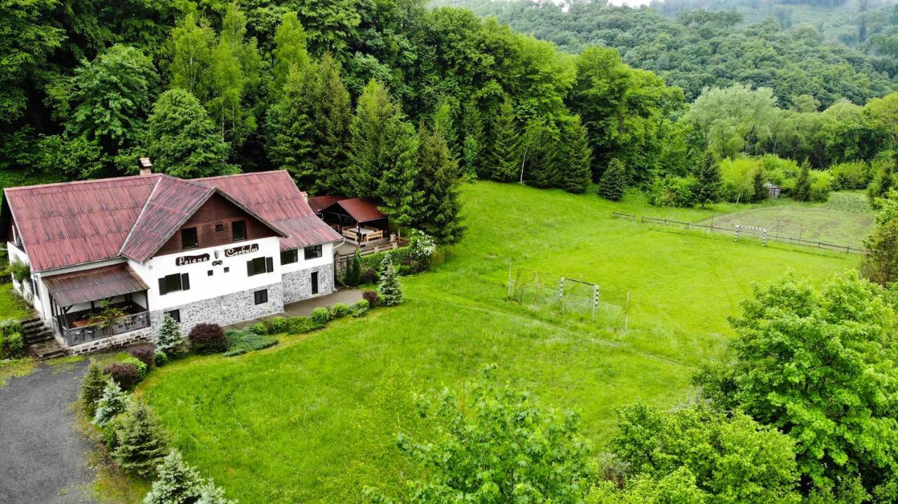 Pensiunea Poiana Cerbului Sighisoara Exterior photo