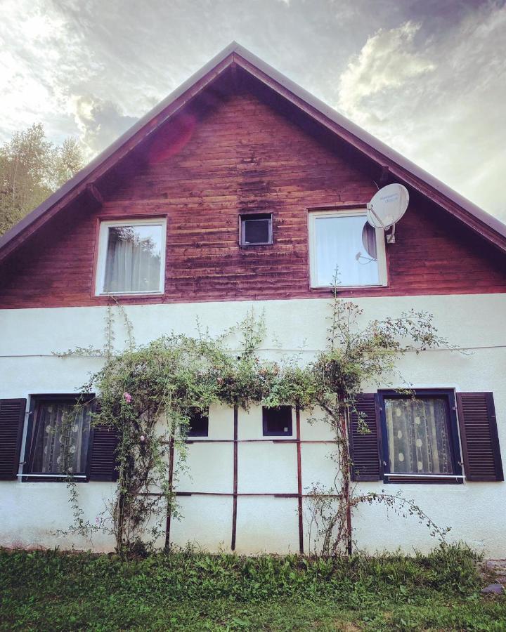 Pensiunea Poiana Cerbului Sighisoara Exterior photo